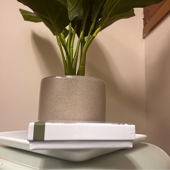 New! Certified Organic Sense 8 Luxury Essential Oil Set Therapeutic Grade 10 ml - Picture 4 of 4